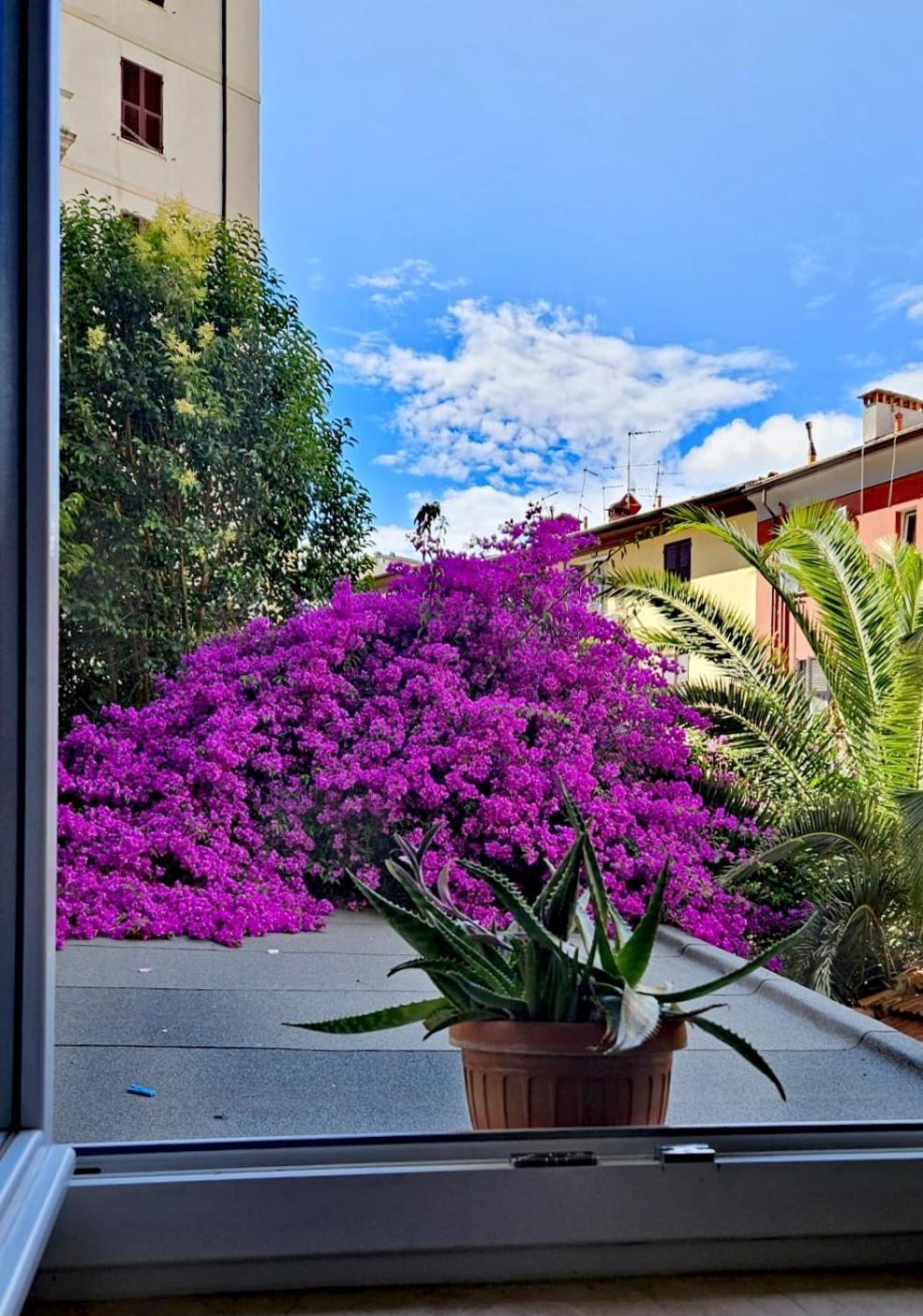 Apartmán Ancora Qui, Nel Golfo Dei Poeti La Spezia Exteriér fotografie